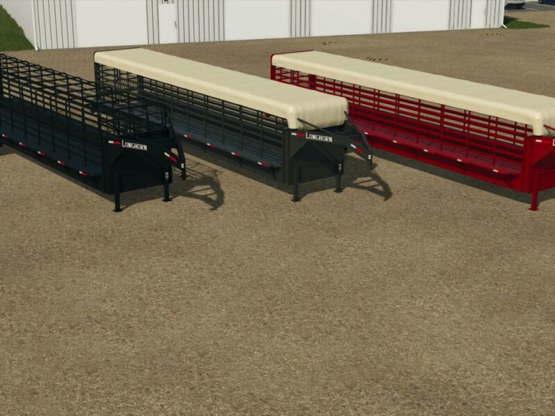 Lizard Longhorn Lizard Longhorn