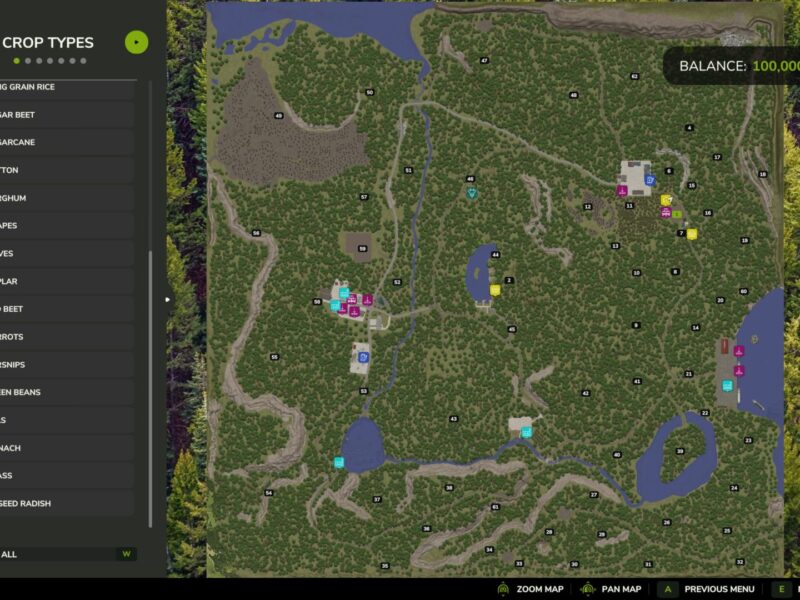 Umbreon Valley Umbreon Valley