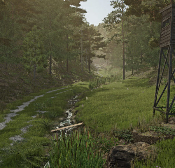 Palatinate-Forest-01