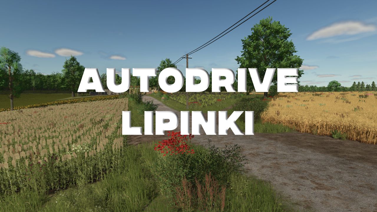 autodrive-lipinki