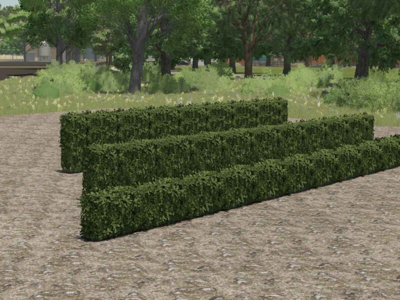 Platzierbare Hecke