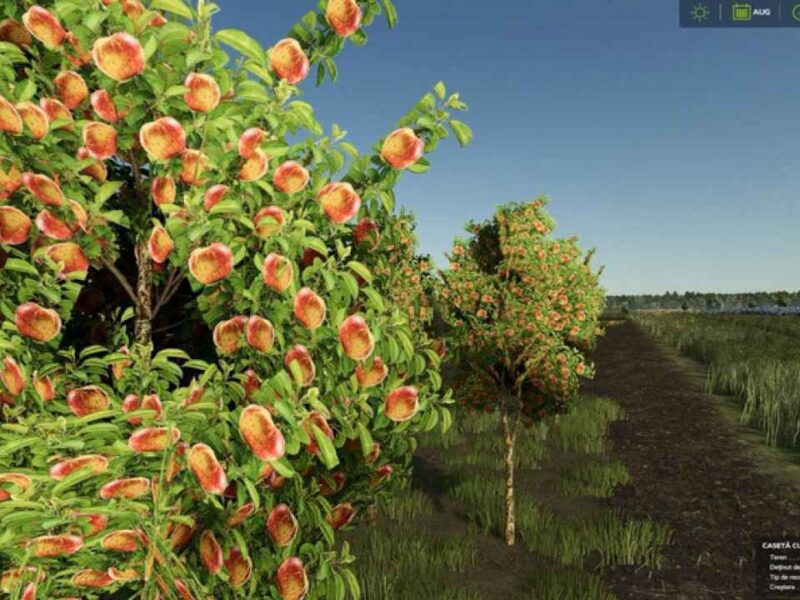 Zielonka Real Orchards – Multifruit Zielonka Real Orchards – Multifruit