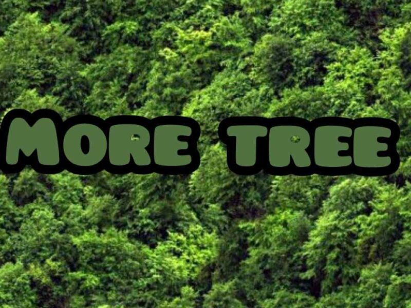 More trees More trees