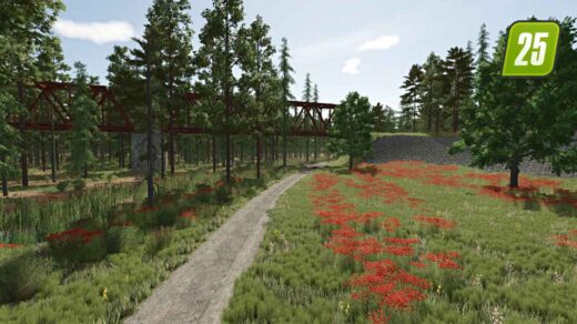 Sonnenscheinwald3 (1)