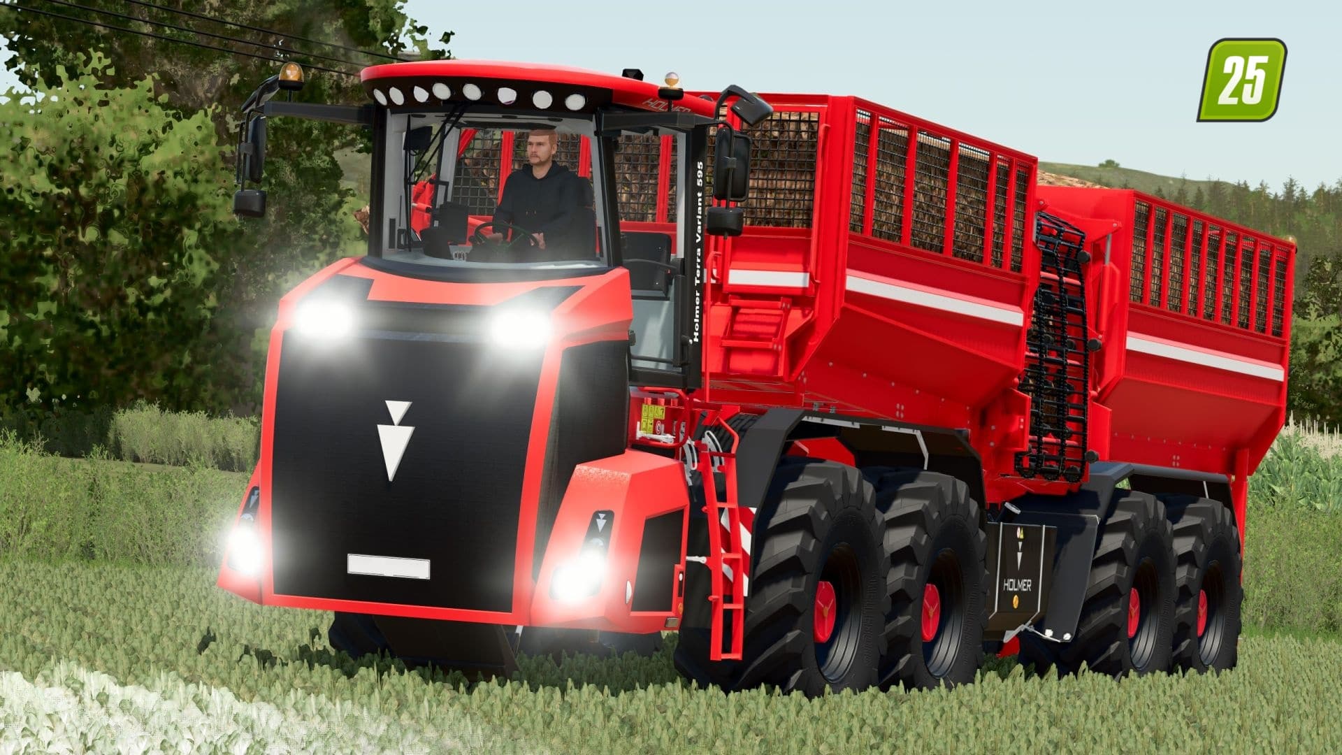 Holmer Variant 595