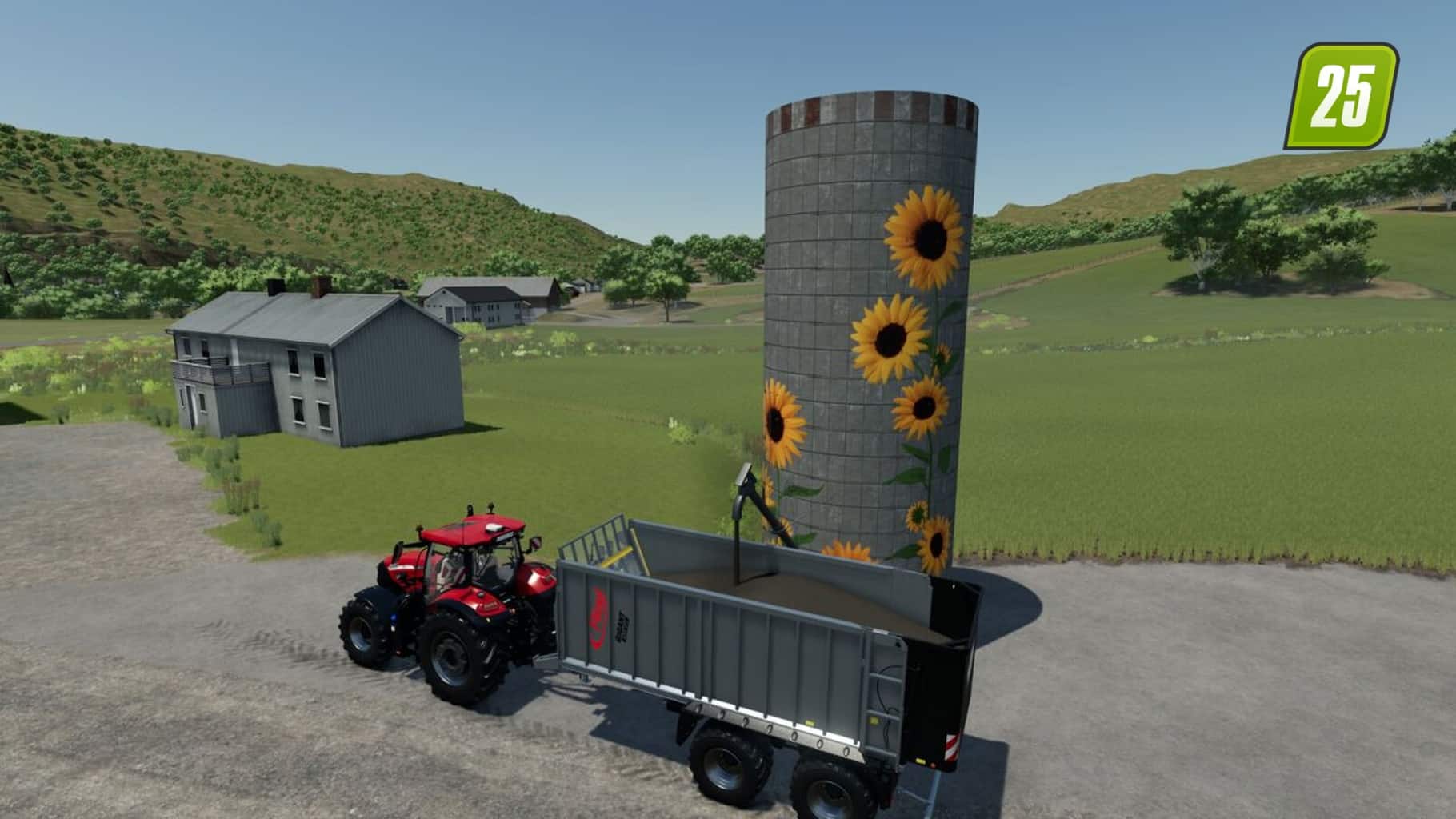 Sonnenblumen Hof- & Markt-Pack4 (1)