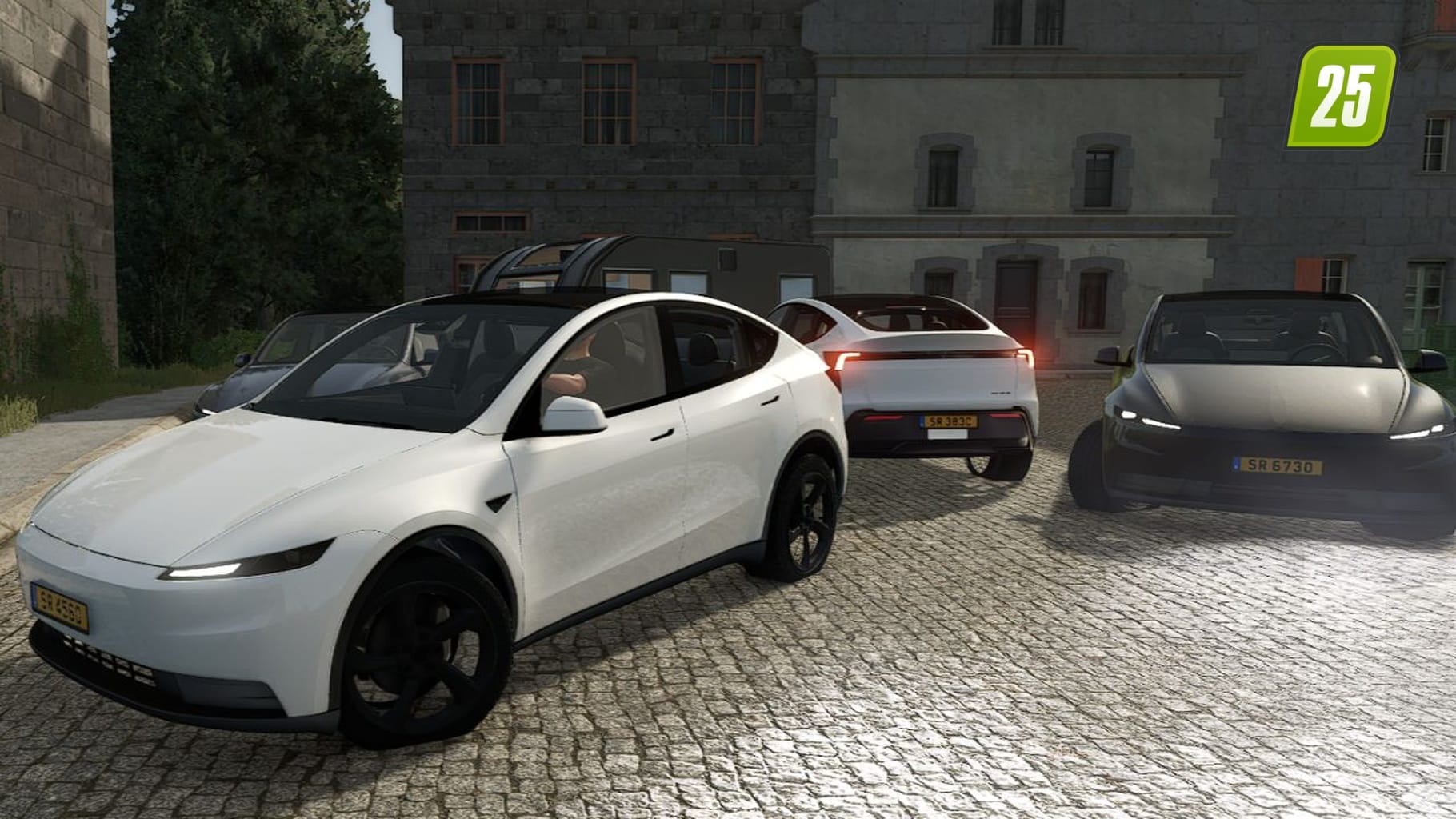 Tesla Model Y Standard 20263 (1)