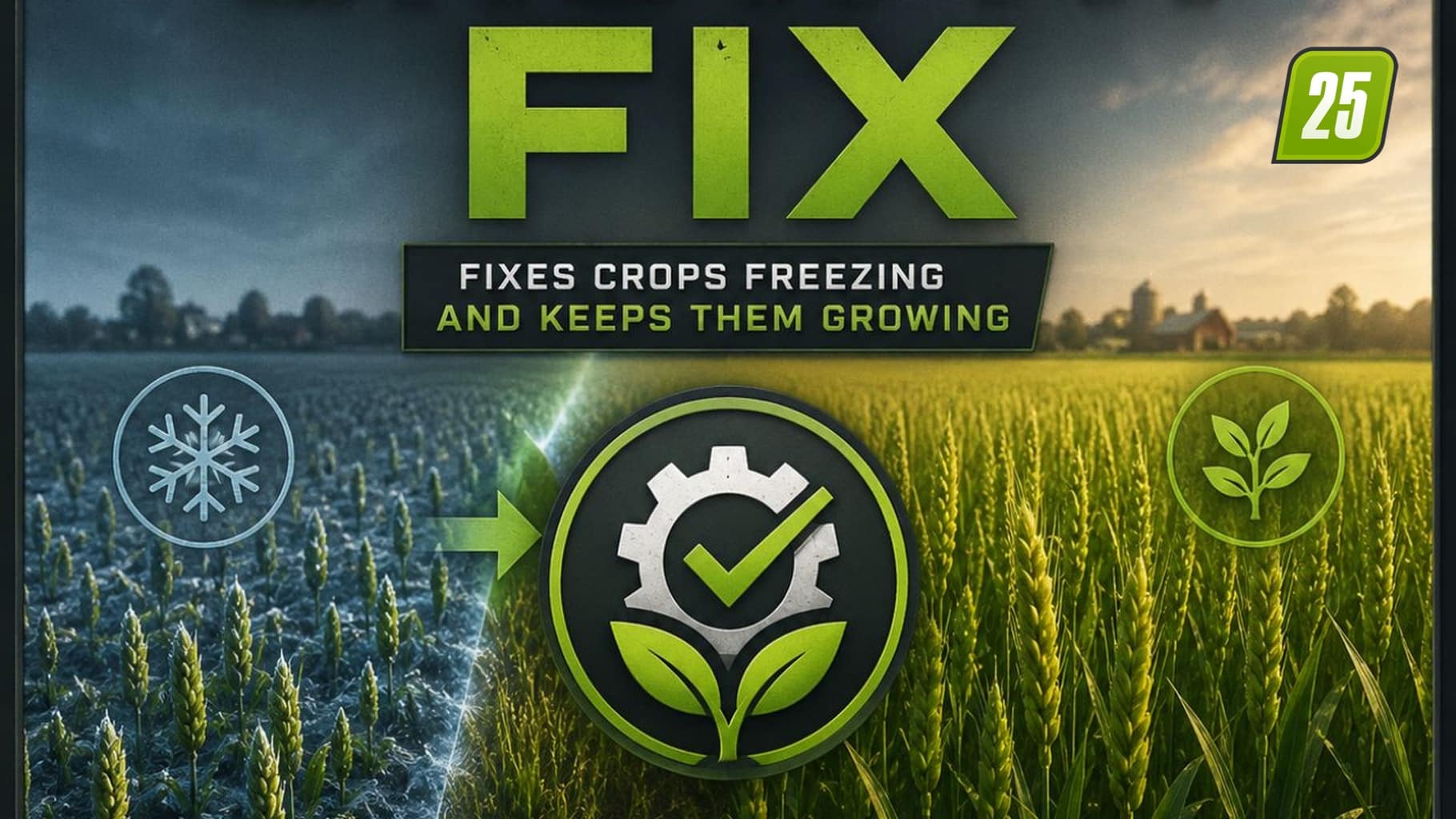 Wachstumsfix4 (1)