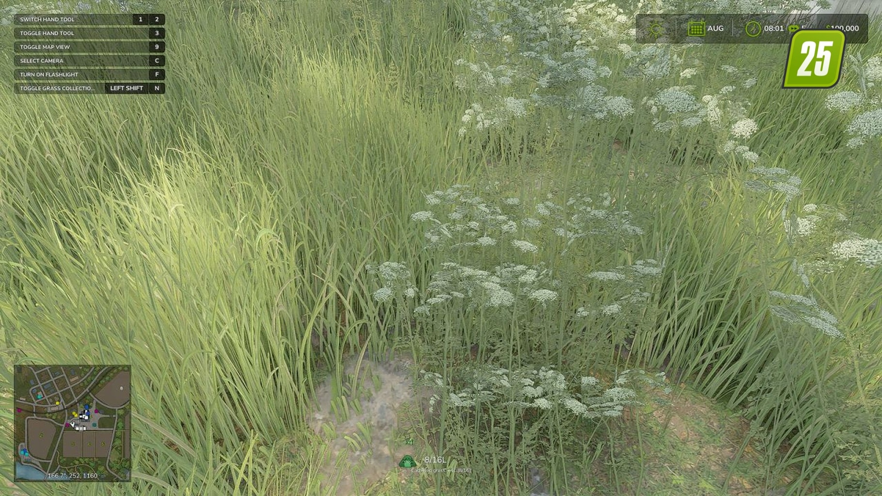 Grasssammlung3 (1)